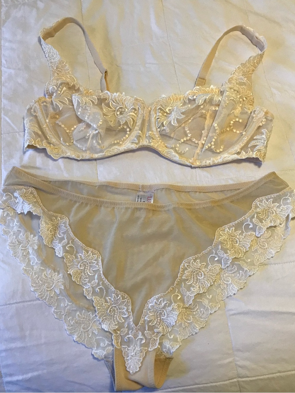 Sheer Lace Embroidered Bra & Bikini Set in Ivory - Women Intimates